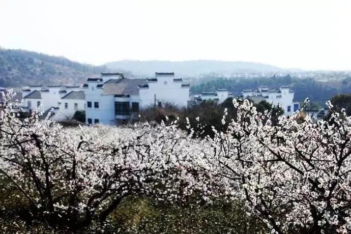 为什么现在的人都不想结婚？游戏画面